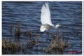 img_7002 02